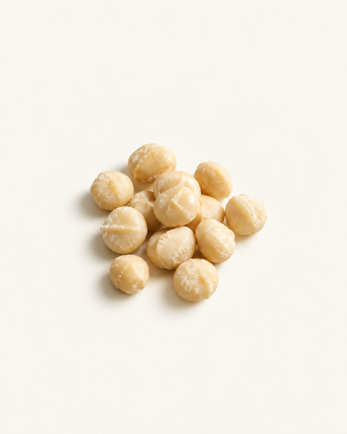 macadamia