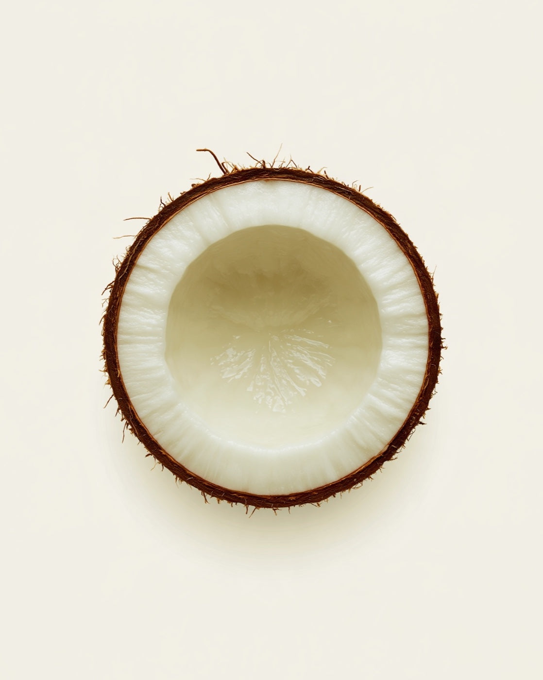 healthy fats & MCT oil